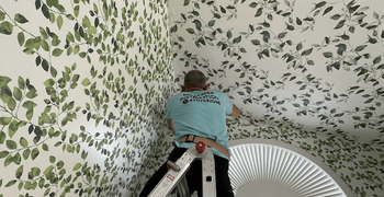 Wallpaper Coveringsvs